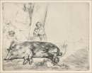 伦勃朗的动物草图有狗，狮子，牛等。