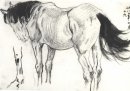 16匹马的草图