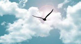 彩色或浅色绘画的梦想