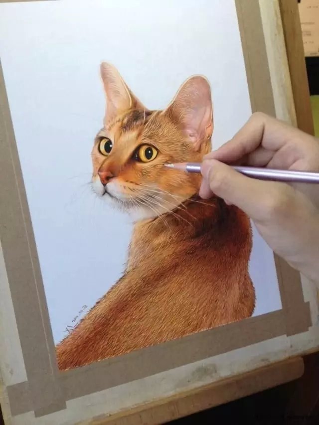 孟祥磊用彩色铅画猫和狗