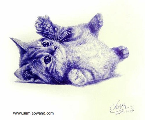 超级可爱的动物:小猫米圆珠笔素描