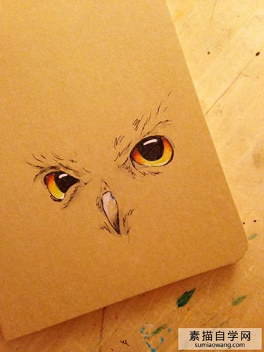 猫头鹰眼睛卡通图案