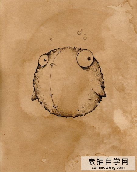 刺豚素描画 可爱的刺豚鱼简单素描简笔画