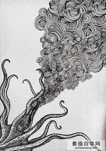章鱼草图章鱼创意手绘草图