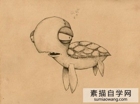 最萌小海龟素描画