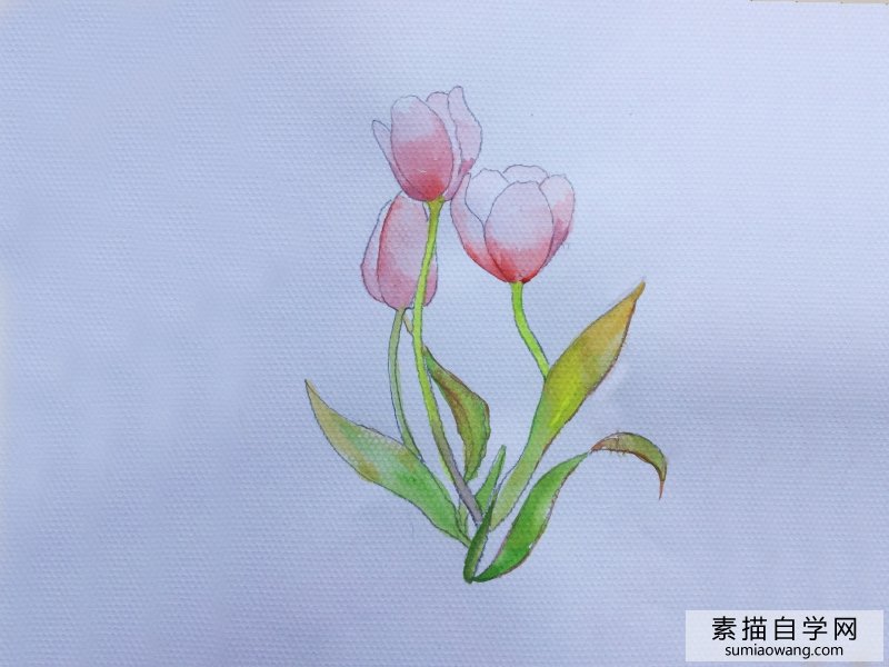 花卉水彩画
