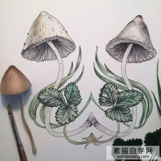 蘑菇的素描画