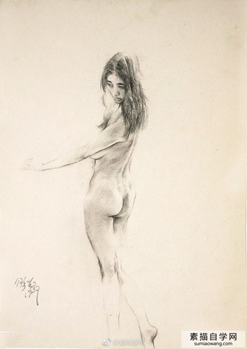女人体素描画