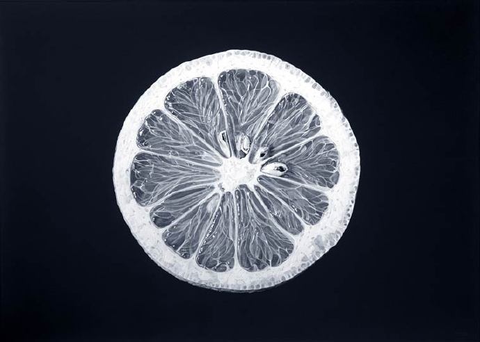柠檬片素描画 黑白素描