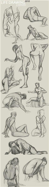 人体的各种动态二