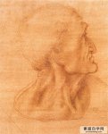 达芬奇素描