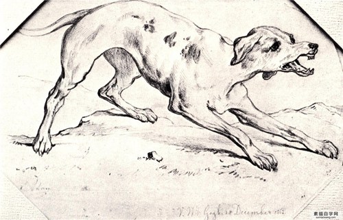 狗素描——文森特·梵高1862