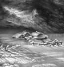 雪景铅笔素描画欣赏 俄罗斯艺术大师Guram Dolenjashvili