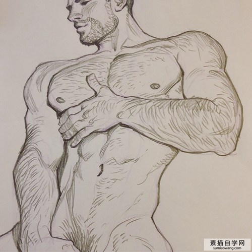 纹身的肌肉男素描绘画作品