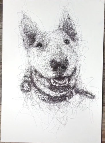 圆珠笔动物素描:斗牛梗和狗的视频绘图