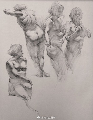 结构性很强的人体素描画欣赏