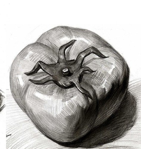 西红柿素描图片 美术作品