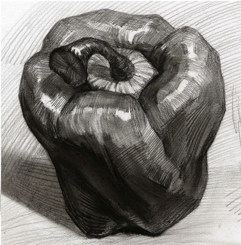 大青椒素描图片 美术作品