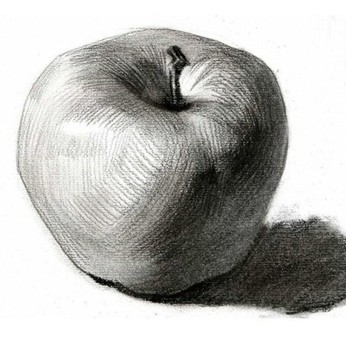 苹果素描图片 美术作品