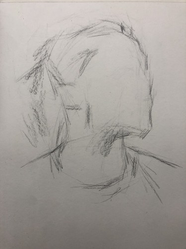 罗斯素描头像图片步骤一