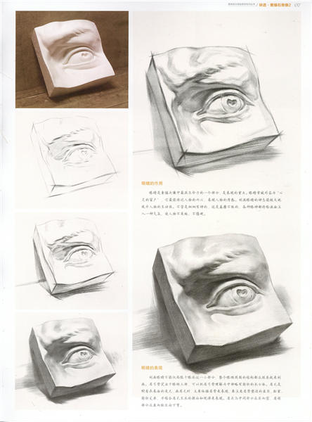 石膏眼睛素描画法