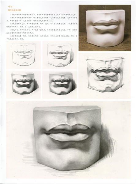 石膏嘴巴素描正面画法步骤