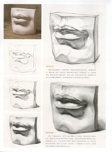 石膏嘴巴素描半侧面教程