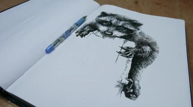 中性笔画课程:浣熊画