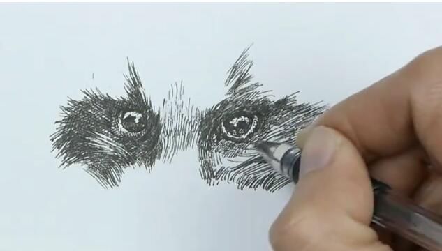 中性笔画教程：浣熊画法