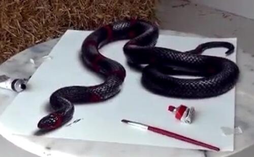 超逼真3D立体画：眼镜蛇的画法视频