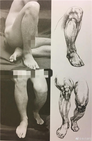 不同角度腿部照片与结构草图的比较