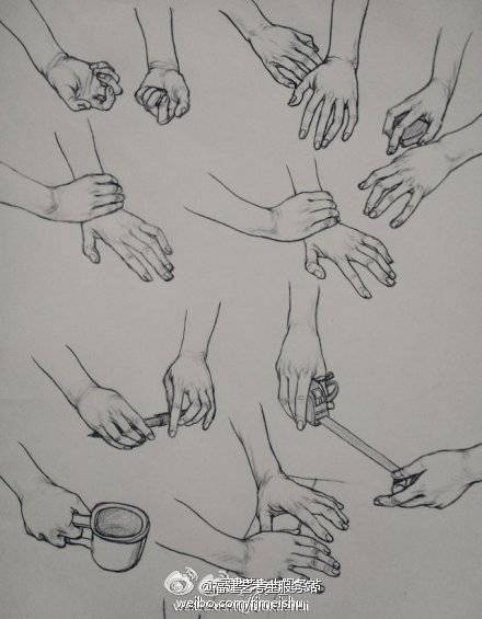 各种形态的手