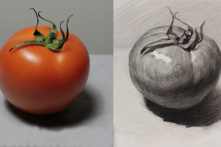 西红柿番茄素描画法步骤 画西红柿的视频教程