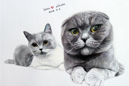 两只可爱猫的铅笔素描非常精致真实。